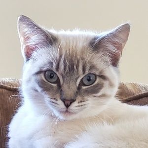 Meet your Posher, Tracy